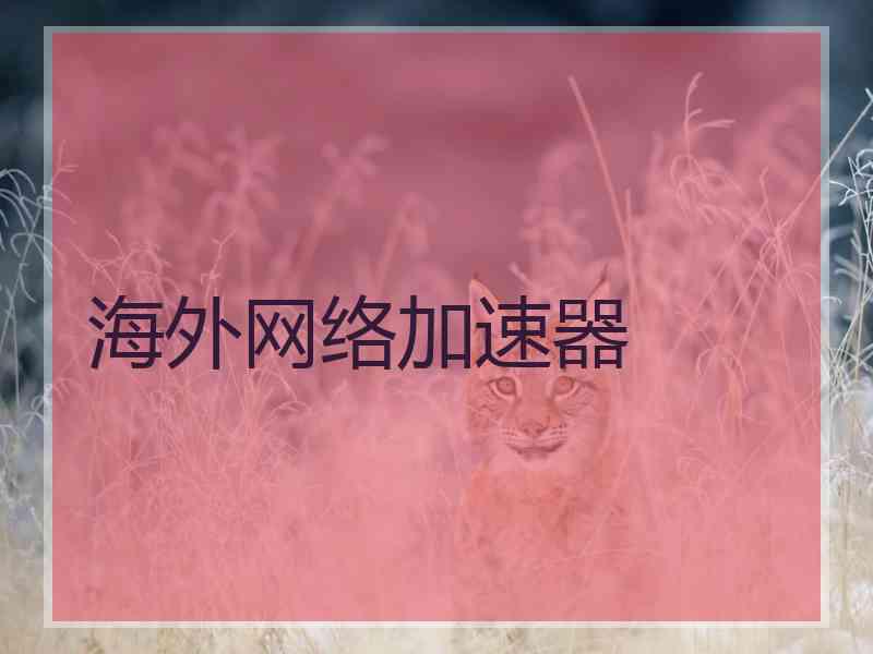 海外网络加速器