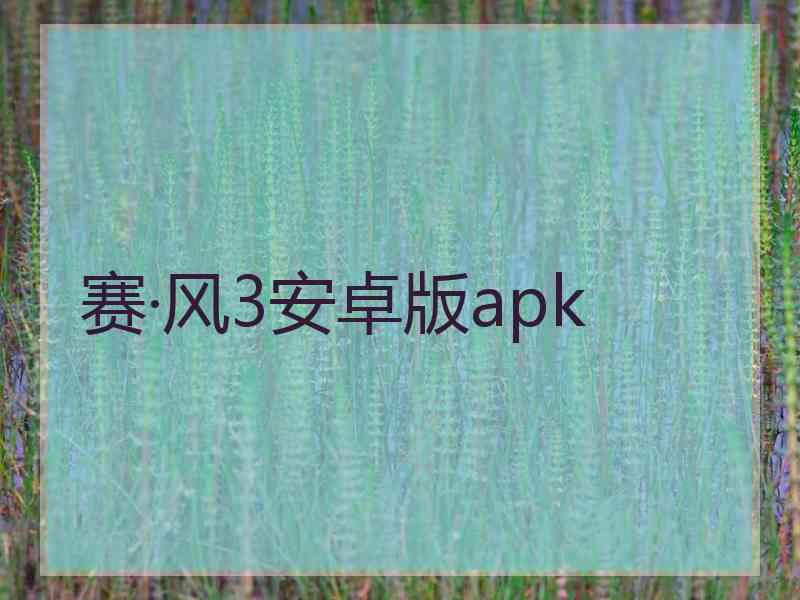 赛·风3安卓版apk