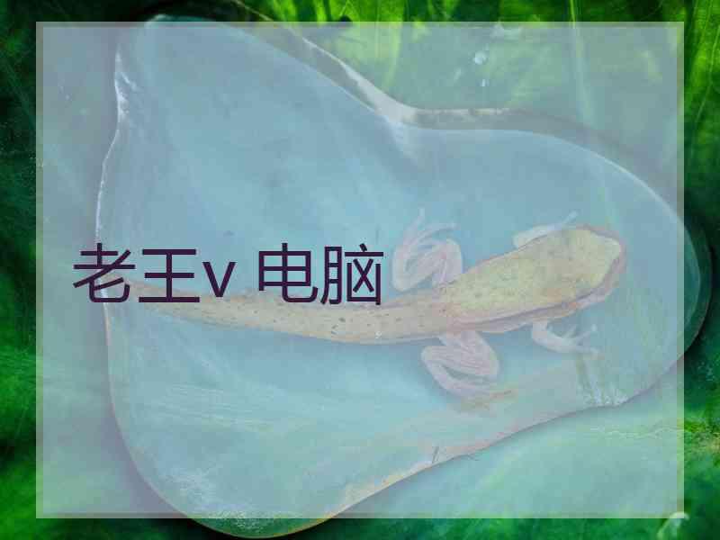 老王v 电脑