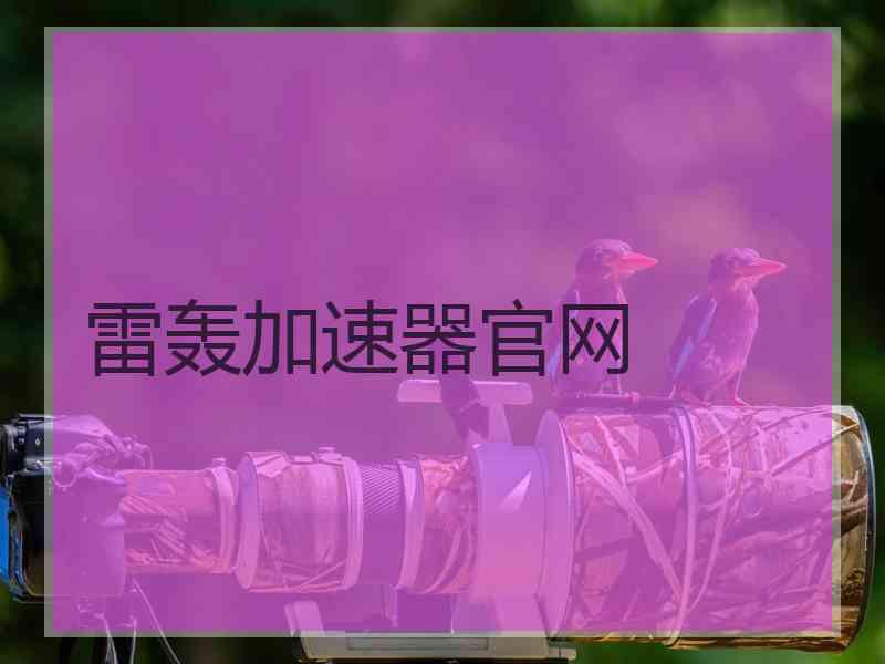 雷轰加速器官网