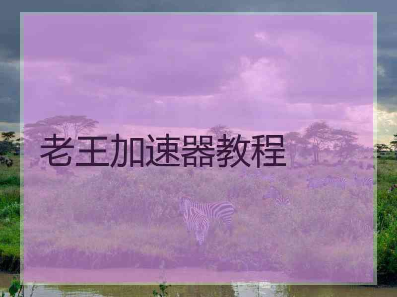 老王加速器教程