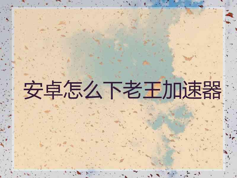 安卓怎么下老王加速器
