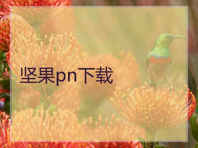 坚果pn下载