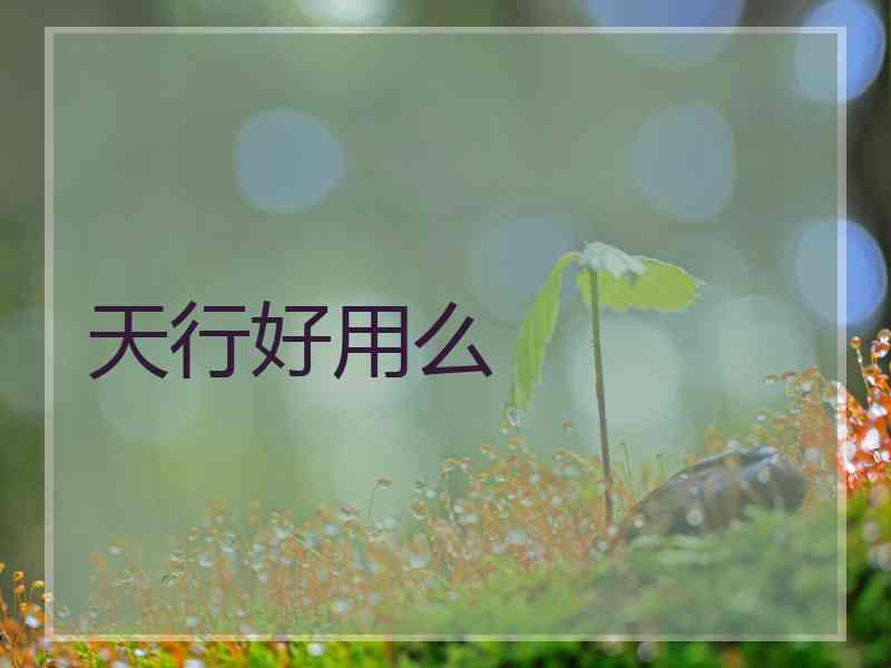 天行好用么