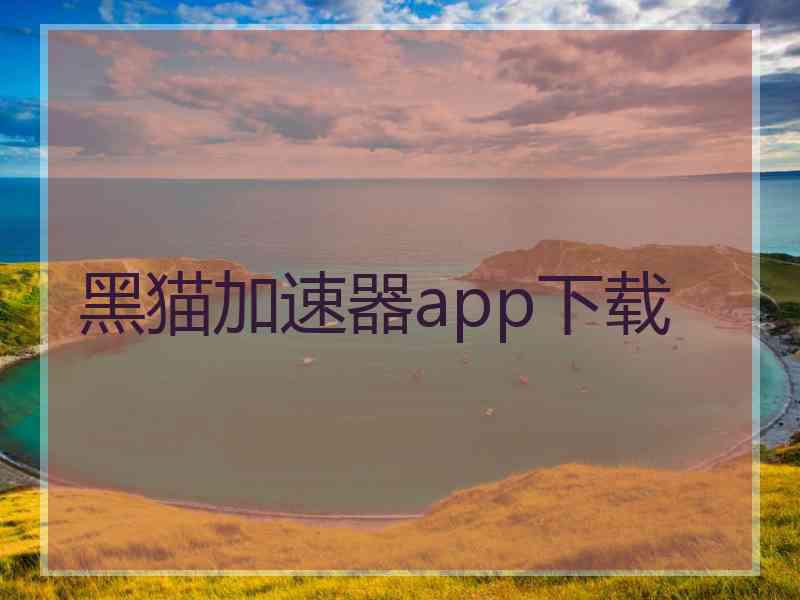 黑猫加速器app下载