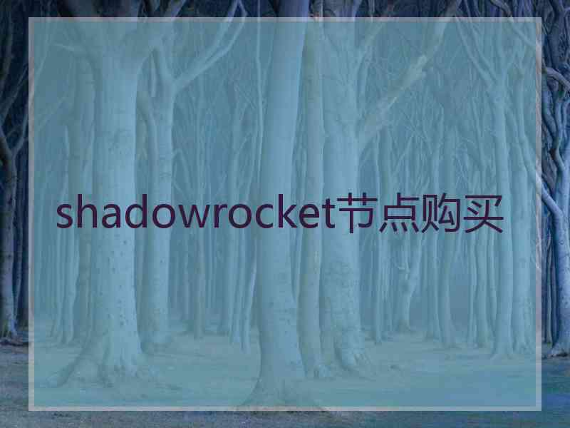 shadowrocket节点购买