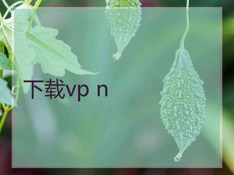 下载vp n