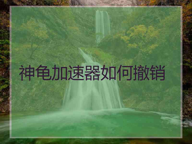 神龟加速器如何撤销