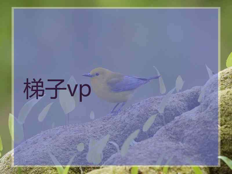 梯子vp