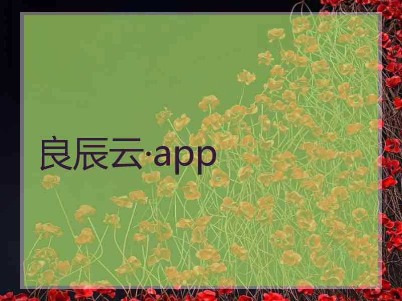 良辰云·app