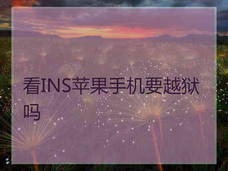 看INS苹果手机要越狱吗