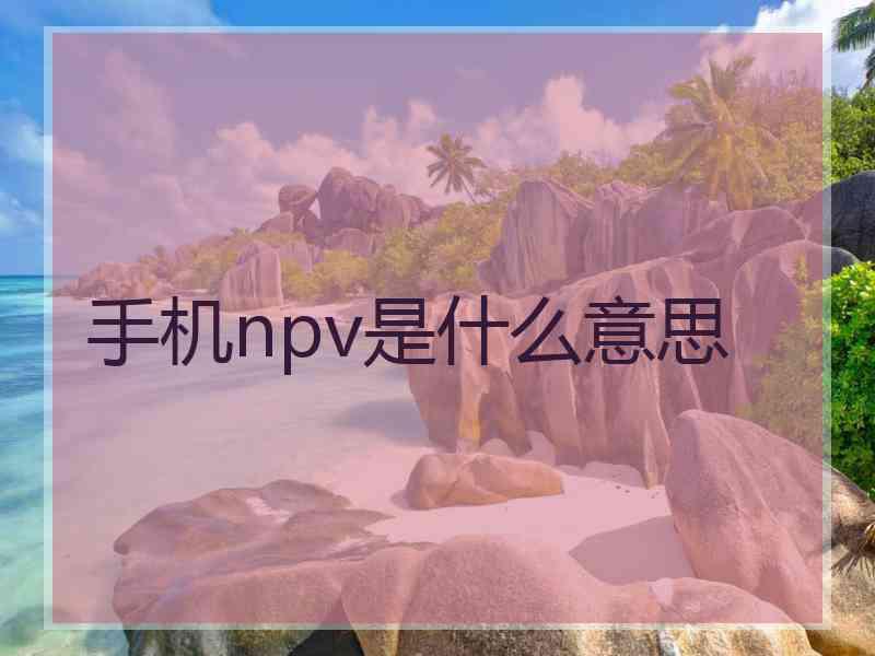 手机npv是什么意思