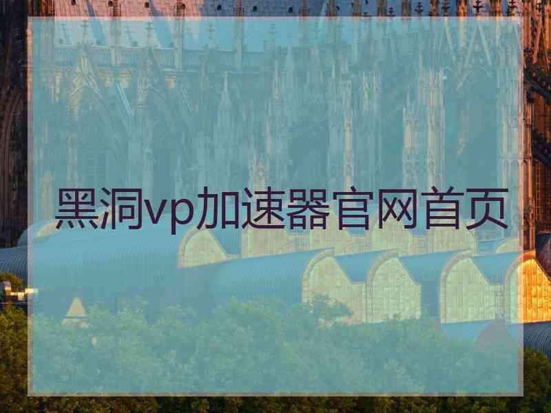 黑洞vp加速器官网首页