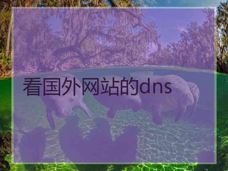 看国外网站的dns