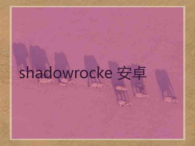 shadowrocke 安卓