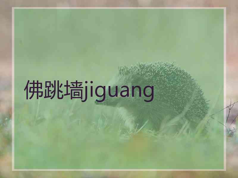 佛跳墙jiguang