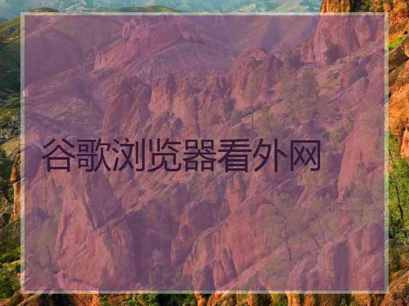 谷歌浏览器看外网