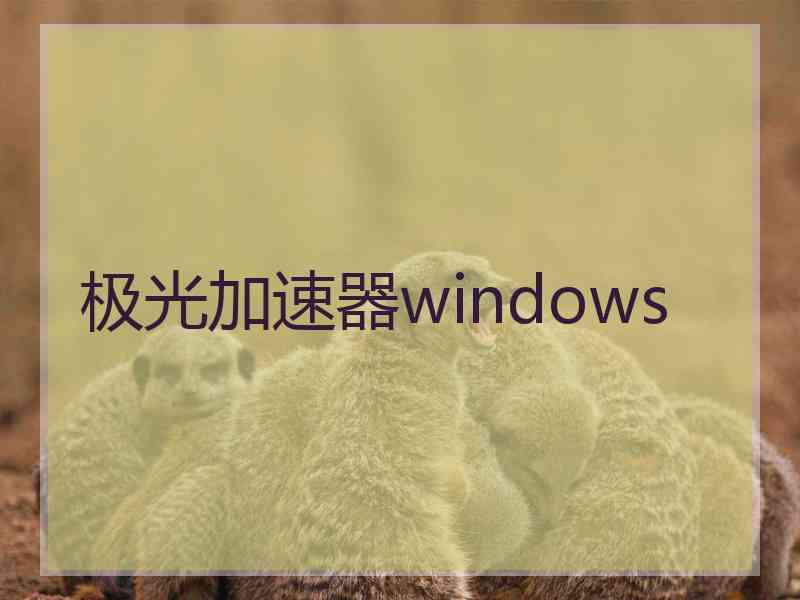 极光加速器windows