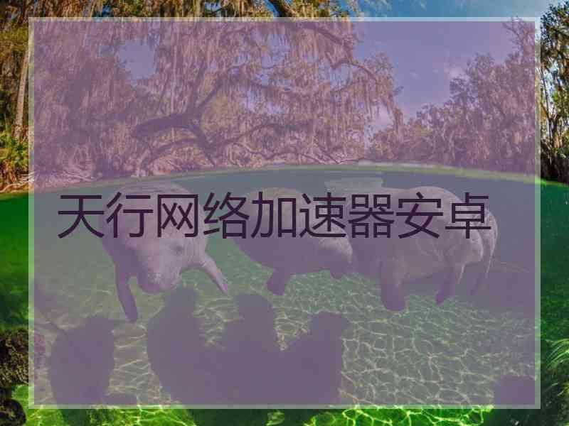 天行网络加速器安卓