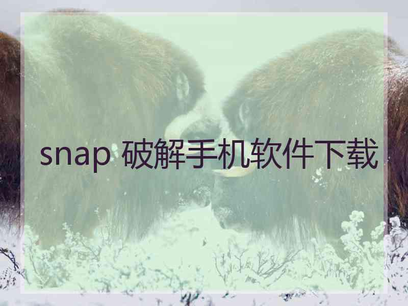 snap 破解手机软件下载