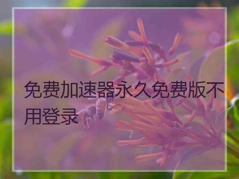 免费加速器永久免费版不用登录