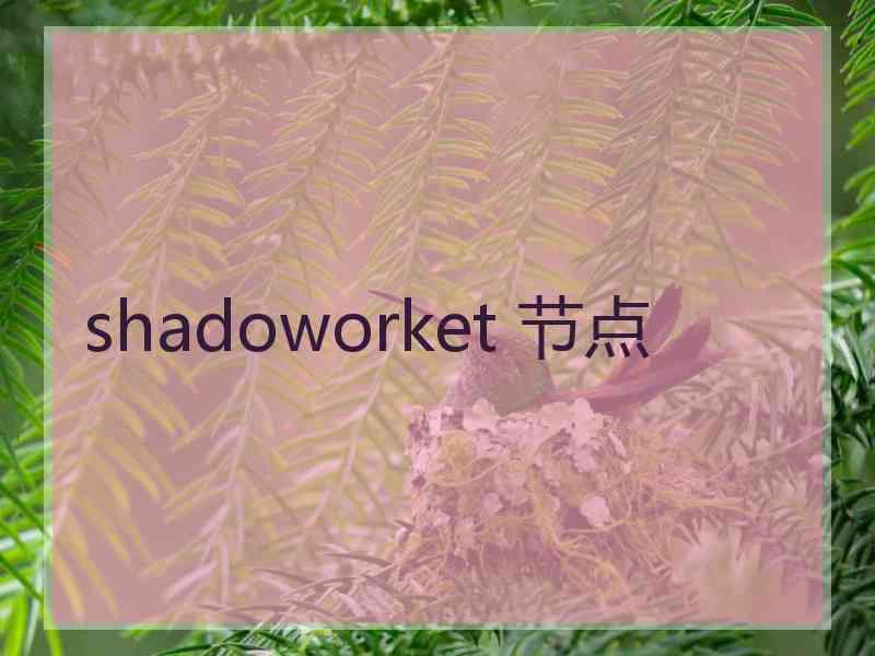 shadoworket 节点