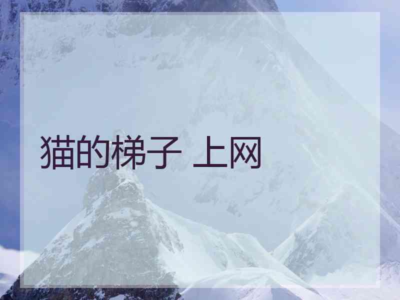 猫的梯子 上网