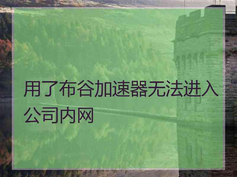 用了布谷加速器无法进入公司内网