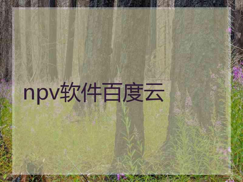 npv软件百度云