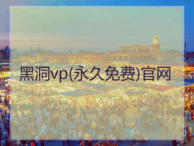 黑洞vp(永久免费)官网