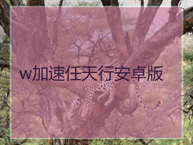 w加速任天行安卓版