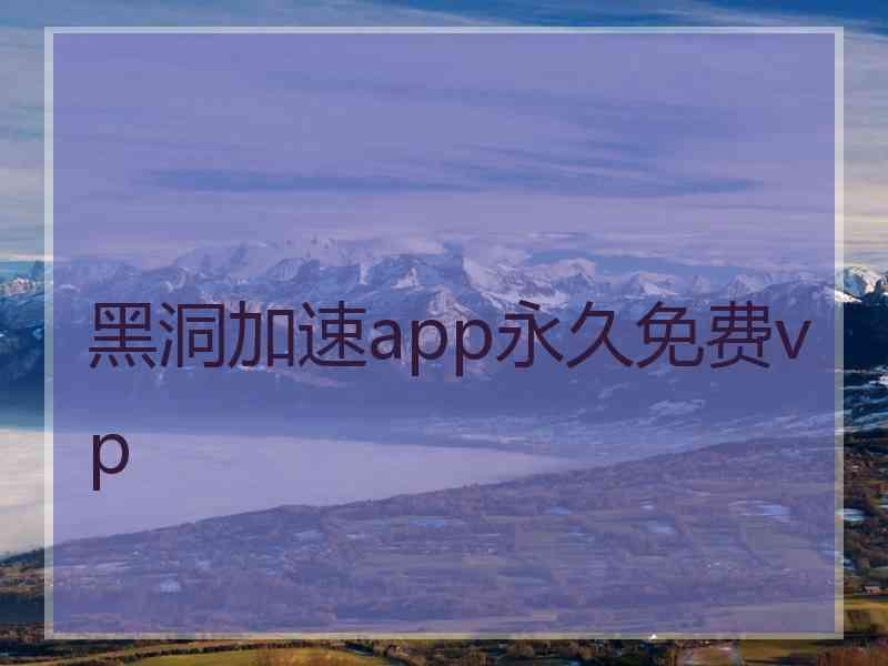 黑洞加速app永久免费vp