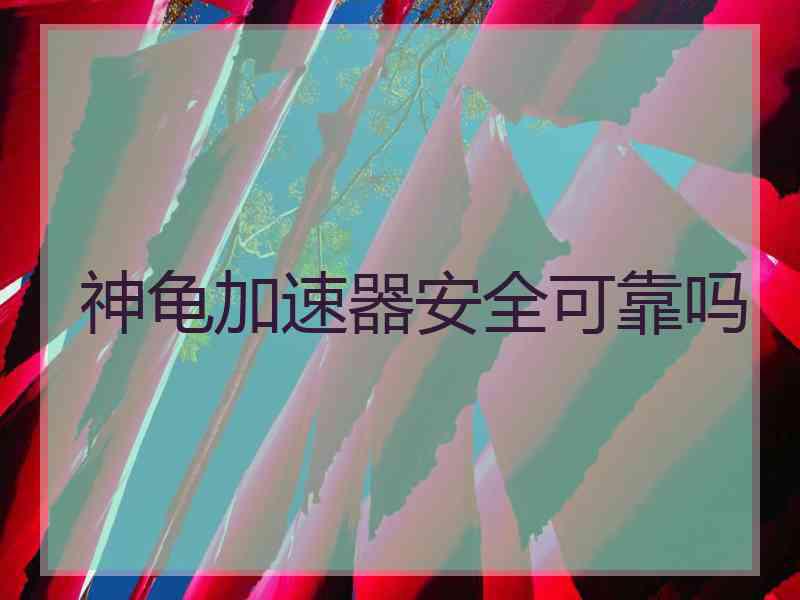神龟加速器安全可靠吗