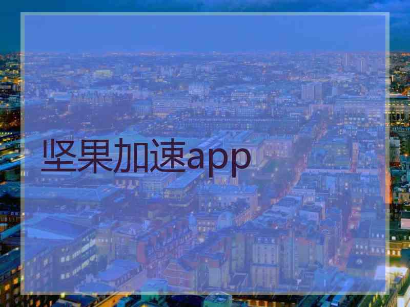 坚果加速app