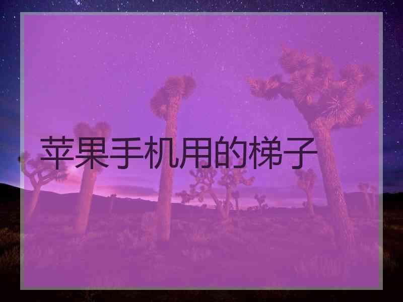 苹果手机用的梯子