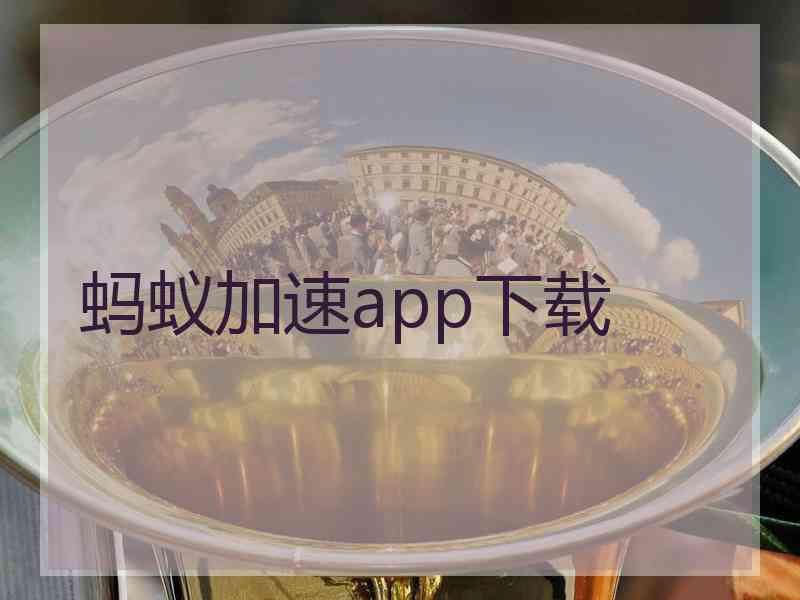 蚂蚁加速app下载