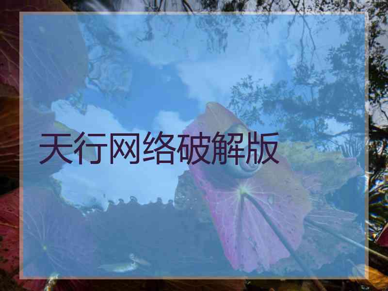 天行网络破解版