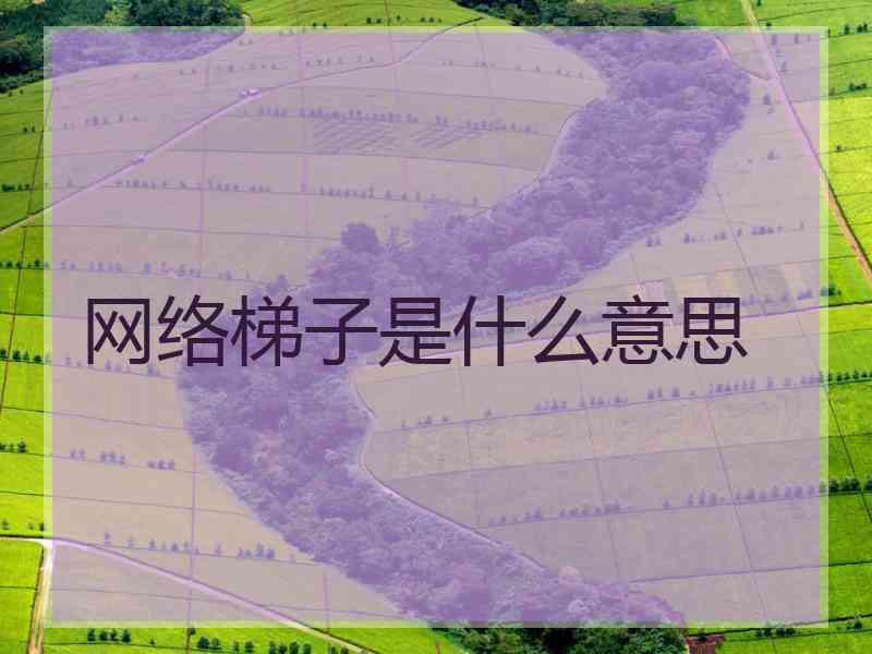 网络梯子是什么意思