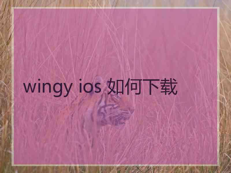 wingy ios 如何下载