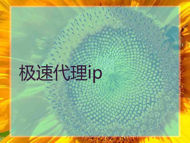 极速代理ip