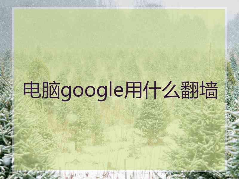 电脑google用什么翻墙