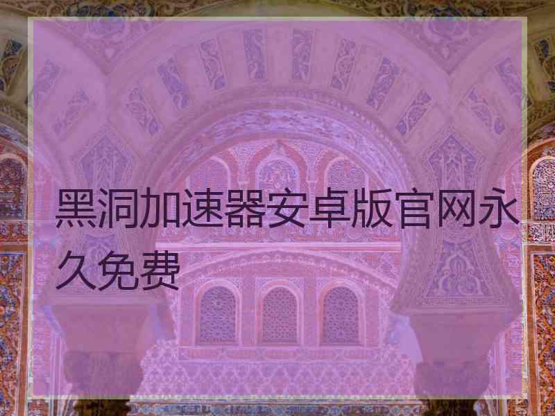 黑洞加速器安卓版官网永久免费