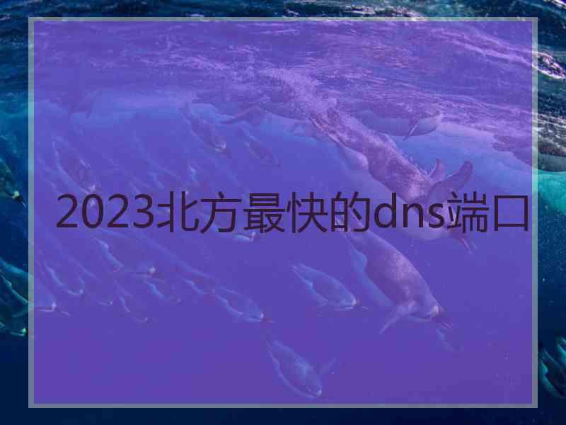 2023北方最快的dns端口