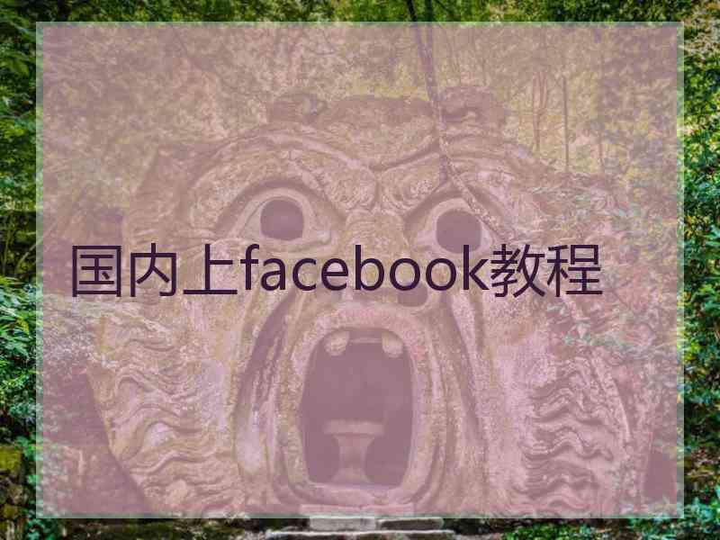 国内上facebook教程