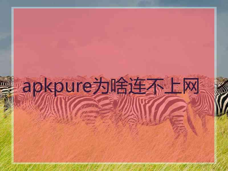 apkpure为啥连不上网