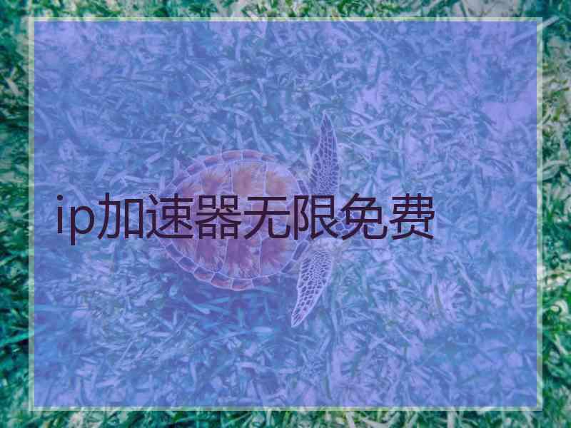 ip加速器无限免费