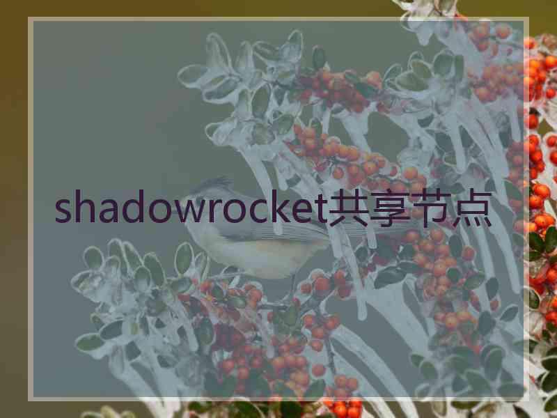 shadowrocket共享节点
