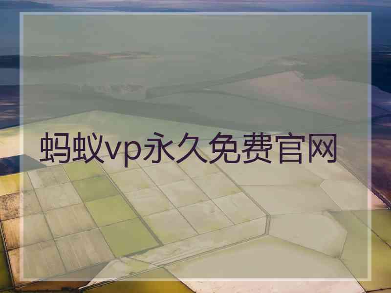 蚂蚁vp永久免费官网