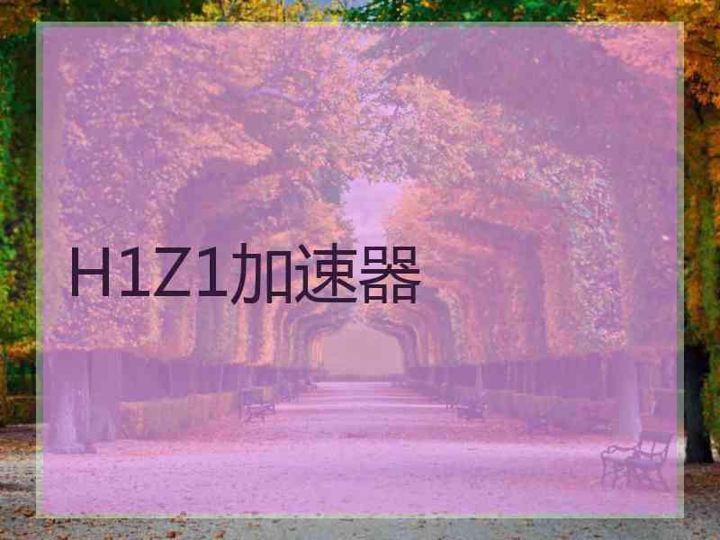 H1Z1加速器