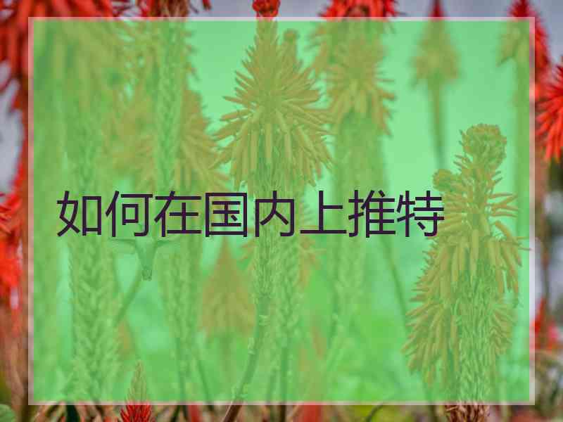 如何在国内上推特